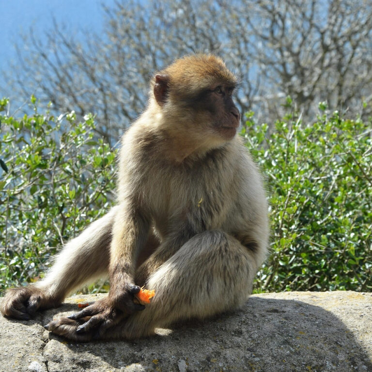 Wycieczki motocyklowe Karlik