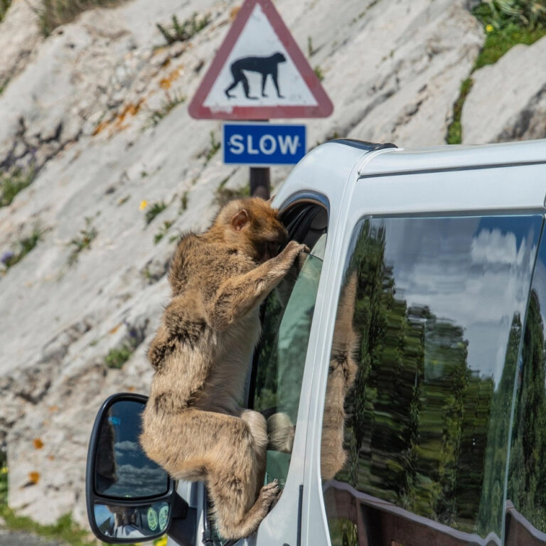 Wycieczki motocyklowe Karlik